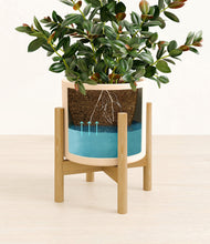 Load image into Gallery viewer, Cream stand:bamboo