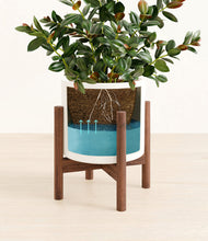 Load image into Gallery viewer, White stand:walnut