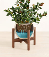 Load image into Gallery viewer, Shiny EggWhite stand:walnut