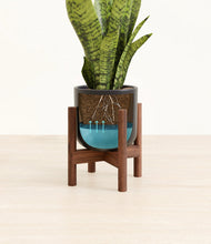 Load image into Gallery viewer, Stone Black stand:walnut