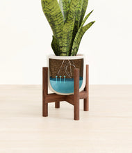 Load image into Gallery viewer, Cotton White stand:walnut