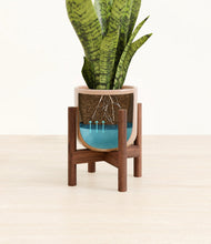 Load image into Gallery viewer, Glossy Pink stand:walnut