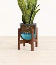 Load image into Gallery viewer, Iron Gray stand:walnut