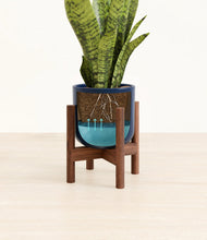 Load image into Gallery viewer, Twilight Blue stand:walnut