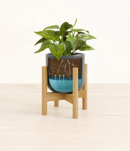 Load image into Gallery viewer, Iron Gray stand:bamboo