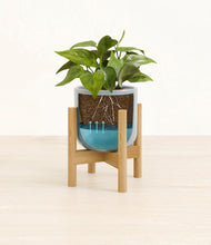 Load image into Gallery viewer, Misty Blue stand:bamboo
