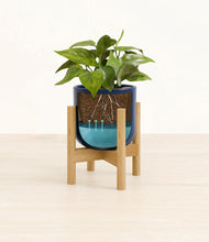Load image into Gallery viewer, Twilight Blue stand:bamboo