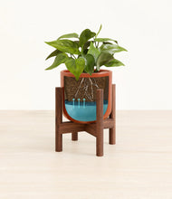 Load image into Gallery viewer, Glossy Red stand:walnut