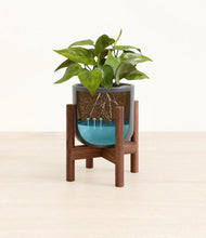 Load image into Gallery viewer, Iron Gray stand:walnut