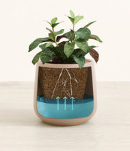 Load image into Gallery viewer, Eternal Gray