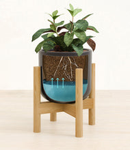 Load image into Gallery viewer, Stone Black stand:bamboo