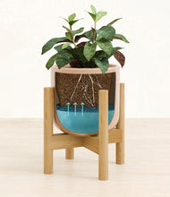 Load image into Gallery viewer, Glossy Pink stand:bamboo