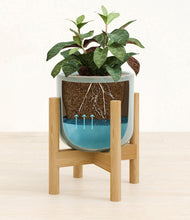 Load image into Gallery viewer, Misty Blue stand:bamboo