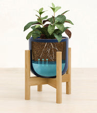Load image into Gallery viewer, Twilight Blue stand:bamboo