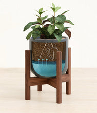 Load image into Gallery viewer, Iron Gray stand:walnut