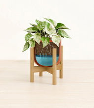 Load image into Gallery viewer, Glossy Red stand:bamboo