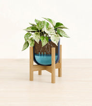 Load image into Gallery viewer, Twilight Blue stand:bamboo