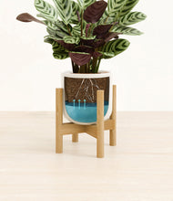 Load image into Gallery viewer, Cotton White stand:bamboo