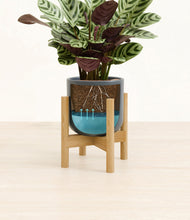 Load image into Gallery viewer, Iron Gray stand:bamboo