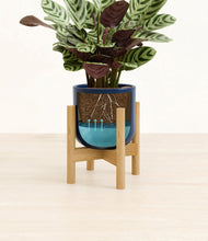 Load image into Gallery viewer, Twilight Blue stand:bamboo