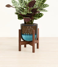 Load image into Gallery viewer, Stone Black stand:walnut