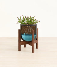 Load image into Gallery viewer, Stone Black stand:walnut