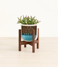 Load image into Gallery viewer, Cotton White stand:walnut