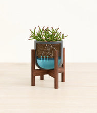 Load image into Gallery viewer, Iron Gray stand:walnut