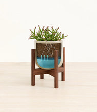 Load image into Gallery viewer, Sage Green stand:walnut