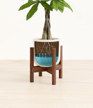 Load image into Gallery viewer, Cotton White stand:walnut