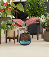 Load image into Gallery viewer, Winding River stand:fourteen_stands