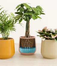 Load image into Gallery viewer, Evening Sky