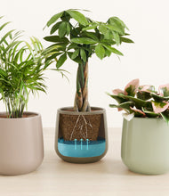 Load image into Gallery viewer, Earthy