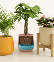 Load image into Gallery viewer, Evening Sky stand:one_stand