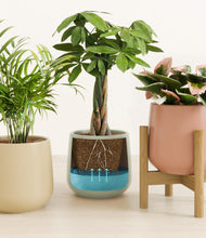 Load image into Gallery viewer, Lily Pad stand:one_stand