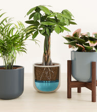 Load image into Gallery viewer, Pebble Shore stand:one_stand