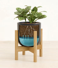 Load image into Gallery viewer, Stone Black stand:bamboo