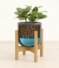 Load image into Gallery viewer, Iron Gray stand:bamboo