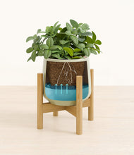 Load image into Gallery viewer, Turquoise stand:bamboo