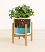 Load image into Gallery viewer, Cream stand:bamboo