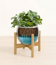 Load image into Gallery viewer, Deep Ocean stand:bamboo