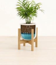 Load image into Gallery viewer, Cotton White stand:bamboo