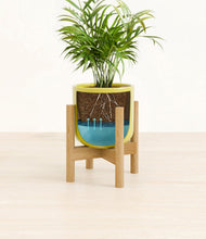 Load image into Gallery viewer, Key Lime Yellow stand:bamboo