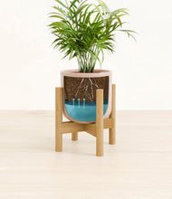 Load image into Gallery viewer, Sandy Pink stand:bamboo