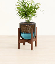 Load image into Gallery viewer, Stone Black stand:walnut