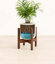 Load image into Gallery viewer, Cotton White stand:walnut