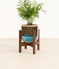 Load image into Gallery viewer, Glossy Pink stand:walnut