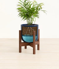 Load image into Gallery viewer, Twilight Blue stand:walnut