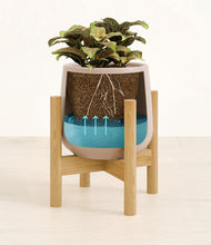 Load image into Gallery viewer, Eternal Gray stand:bamboo