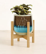 Load image into Gallery viewer, Turquoise stand:bamboo